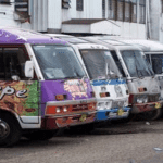 Rij kleurrijke stadsbussen geparkeerd op straat