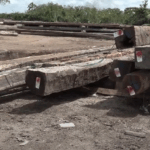 fraude met houtlabels