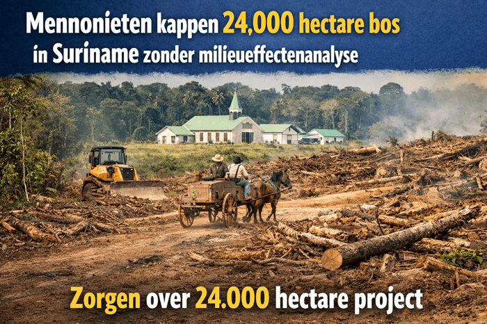 illegale ontbossing Suriname