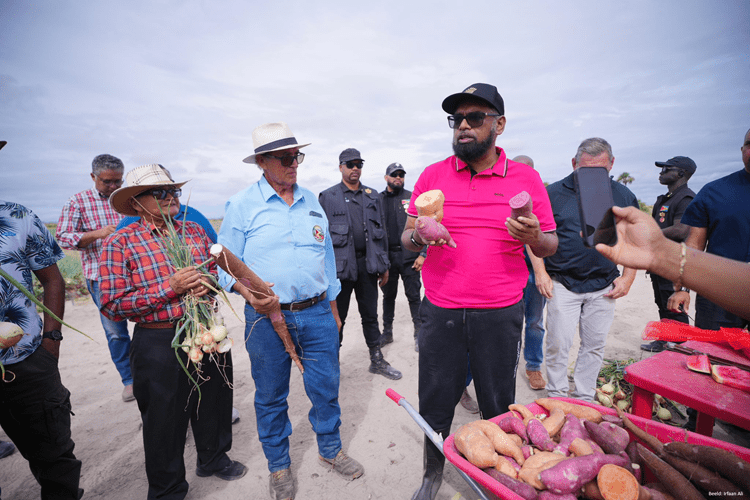 landbouw in Rupununi