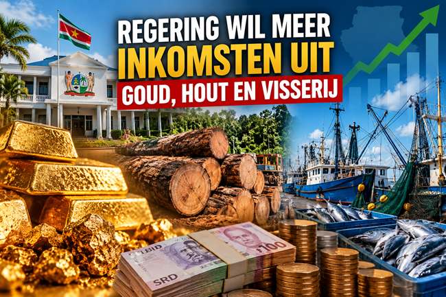 Suriname wil meer inkomsten uit goud, hout en visserij