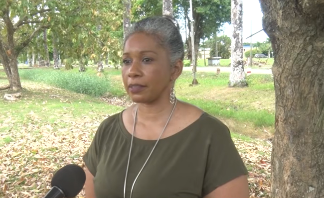 Halliburton Houttuin NMA Suriname