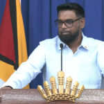 irfan ali